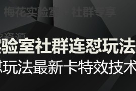 梅花实验室第五期教程 视频号连怼玩法最新卡特效技术详解