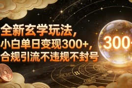 合规玄学轻玩法实操指南 零基础小白单日变现300+不违规不封号