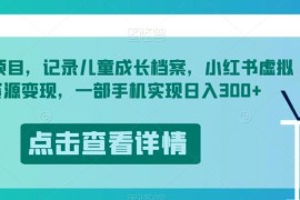 儿童成长档案小红书虚拟资源变现 0基础手机操作日入300项目拆解