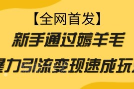 新手可做的零门槛薅羊毛项目 引流变现速成玩法实操指南