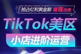 TikTok Shop美区小店进阶运营教程 全流量渠道玩法拆解助力出单