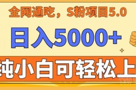 男粉项目5.0最新低门槛玩法 纯小白可上手保姆级实操教学