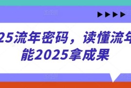 2025流年密码解读课程 看懂运势赋能自身拿到全年发展成果