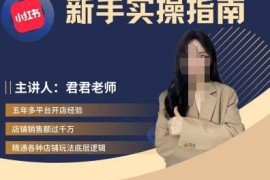 2024小红书电商从入门到精通 新手开店运营全流程实操指南
