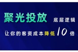 2024小红书聚光投放全流程实操教程 掌握底层逻辑降低客资成本