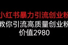 小红书高质量创业粉引流实操教程 全流程运营方法拆解