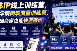 实体IP同城流量线上训练营 零基础本地商家可快速落地获客