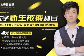 大学新生被褥蓝海项目实操 0基础从0到1副业变现陪跑训练营