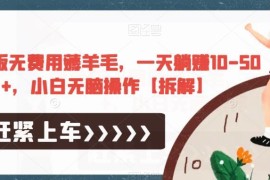极速版零成本薅羊毛项目拆解 小白操作单日可赚10-50元