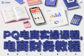 PQ电商实操系统教程 淘抖拼京多平台电商财务处理指南