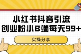 小红书抖音创业粉小B端粉引流 实测日引99+低门槛实操玩法