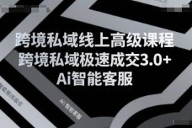 跨境私域极速成交3.0+AI智能客服高级线上课程内容详解