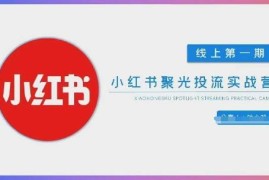 小红书聚光投流从0到1实操教学 含玩法及投流团队搭建指南