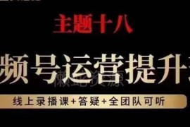 2023版视频号运营提升班教程 从底层逻辑掌握流量红利玩法