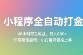 微信小程序全自动打金副业实操教程 零基础易上手长期稳定见收益