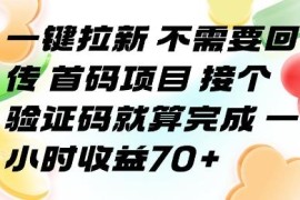 无需回传一键拉新首码项目详解 单小时稳定收益可达70+