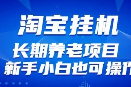 淘宝虚拟产品挂机长期养老项目实操教程 新手小白零门槛易上手