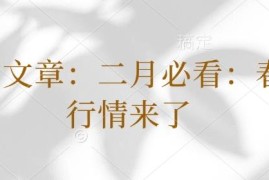 2025年二月A股春季行情解读 驱动逻辑及投资布局参考