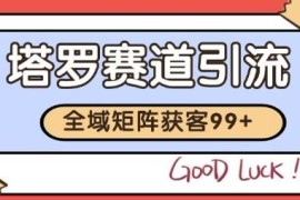 小红书抖音塔罗赛道引流获客 自动矩阵实操玩法全解析
