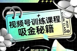 零基础视频号运营训练课程 起号剪辑投放全流程实操指南