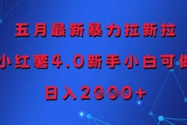 2024年5月小红书4.0拉新项目 零经验新手可做门槛低易变现
