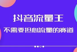 抖音高流量美女图文音乐号升级玩法 附实操教程及养号流程