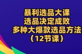 12节系统电商选品课程 掌握多维度爆款选品核心实操方法