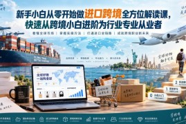 进口跨境电商零基础系统教程 新手小白快速进阶专业从业者
