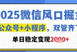 2025微信生态掘金攻略 公众号+小程序双布局变现实操教程