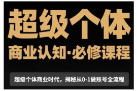超级个体商业认知觉醒课 抖音变现账号从0到1搭建全流程讲解