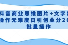 抖音商业思维图文实操教程 新手无难度日引200+精准创业粉
