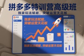 2026年3月更新拼多多高阶运营特训营 独家玩法突破运营瓶颈