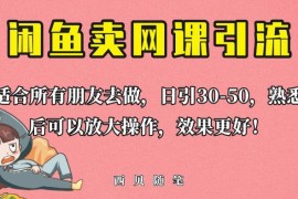 闲鱼卖网课引流创业粉实操教程 新手可日引50+精准流量