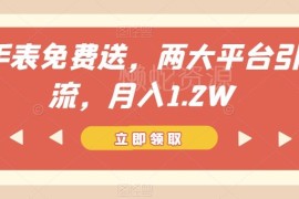 双11手表带货副业玩法揭秘 小红书闲鱼双平台操作月入1.2万