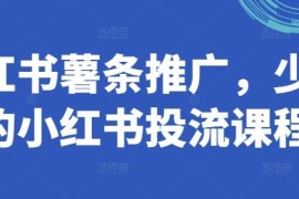 2024小红书薯条投流课程 全流程投放实操技巧精讲