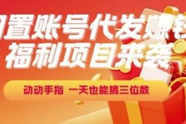 闲置账号代发挣钱零撸项目详解 新手操作收益及提现规则