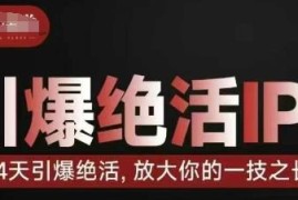 14天绝活IP训练营教程 零基础打造个人IP放大自身一技之长