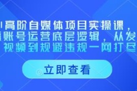 AI高阶自媒体实操课 账号运营内容制作违规规避全流程教学