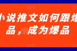 小说推文如何跟爆品打造爆款 新人实操方法教学课程分享