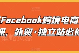 Facebook跨境电商入门实操课程 外贸独立站运营必修学习资料