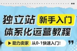 独立站新手0-1体系化运营教程 覆盖选品建站投放全流程