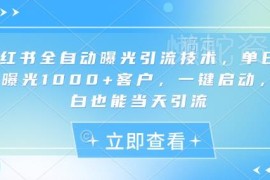 小红书全自动曝光引流技术拆解 小白可实现单日千次精准曝光