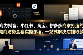 抖音小红书淘宝拼多多电商财务实操课 一站式解决记账报税全流程问题
