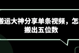 视频搬运大神实操分享：单条视频赚取五位数收益的实用技巧