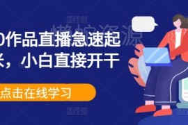 0粉丝0作品直播快速起号变现教程 新手零基础可直接上手实操