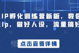 新版商业IP孵化训练营 人设打造流量运营变现全流程教学