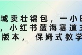 小红书3.0蓝海赛道私域卖壮锦包 保姆级全流程实操教学