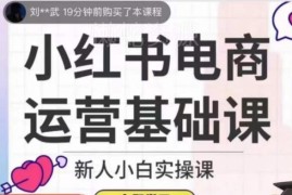 小红书电商运营实操基础课 新人小白入门全流程系统教程