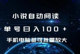 2024小说自动阅读挂机项目攻略 单号日入100+可批量放大操作