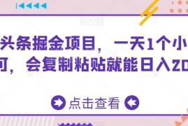 AI头条掘金副业实操指南 每天1小时复制粘贴可获稳定收益